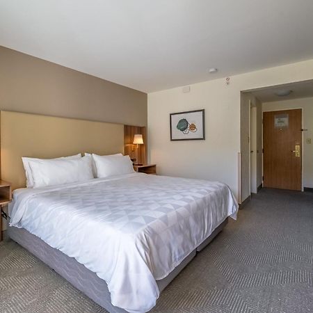 Holiday Inn San Jose La Sabana By Ihg Kültér fotó